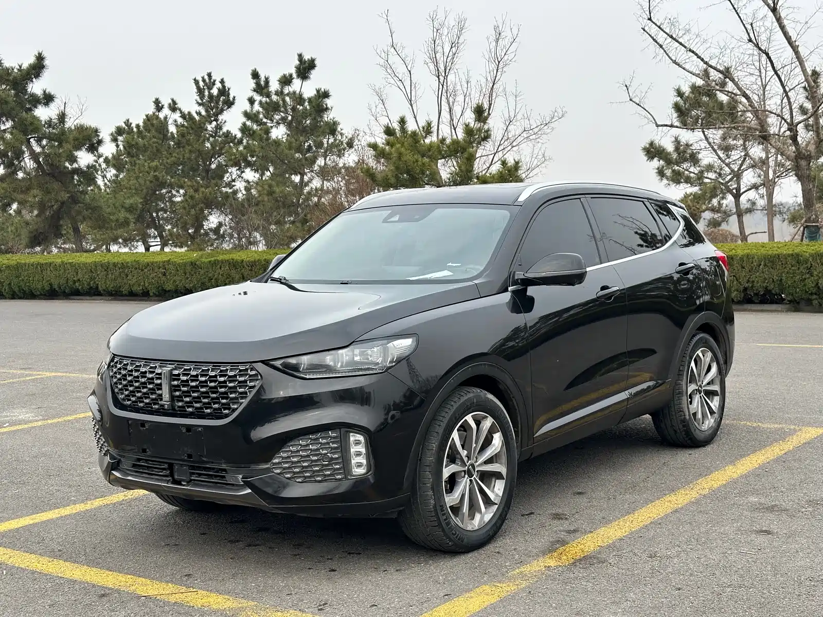 Фото 3 - WEY VV6