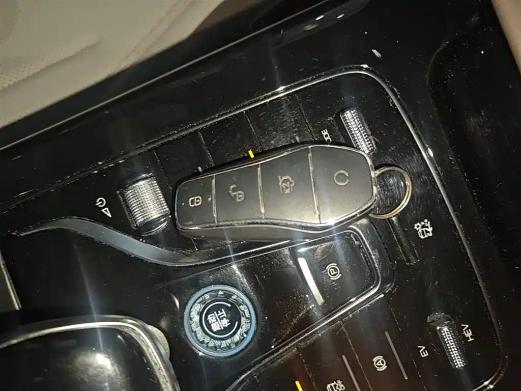 BYD Qin PLUS 2024 Glory Edition DM-i 55KM Leading фото 9