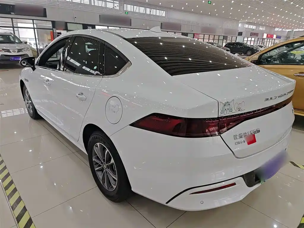 BYD Qin PLUS 2024 Glory Edition DM-i 55KM Leading фото 5