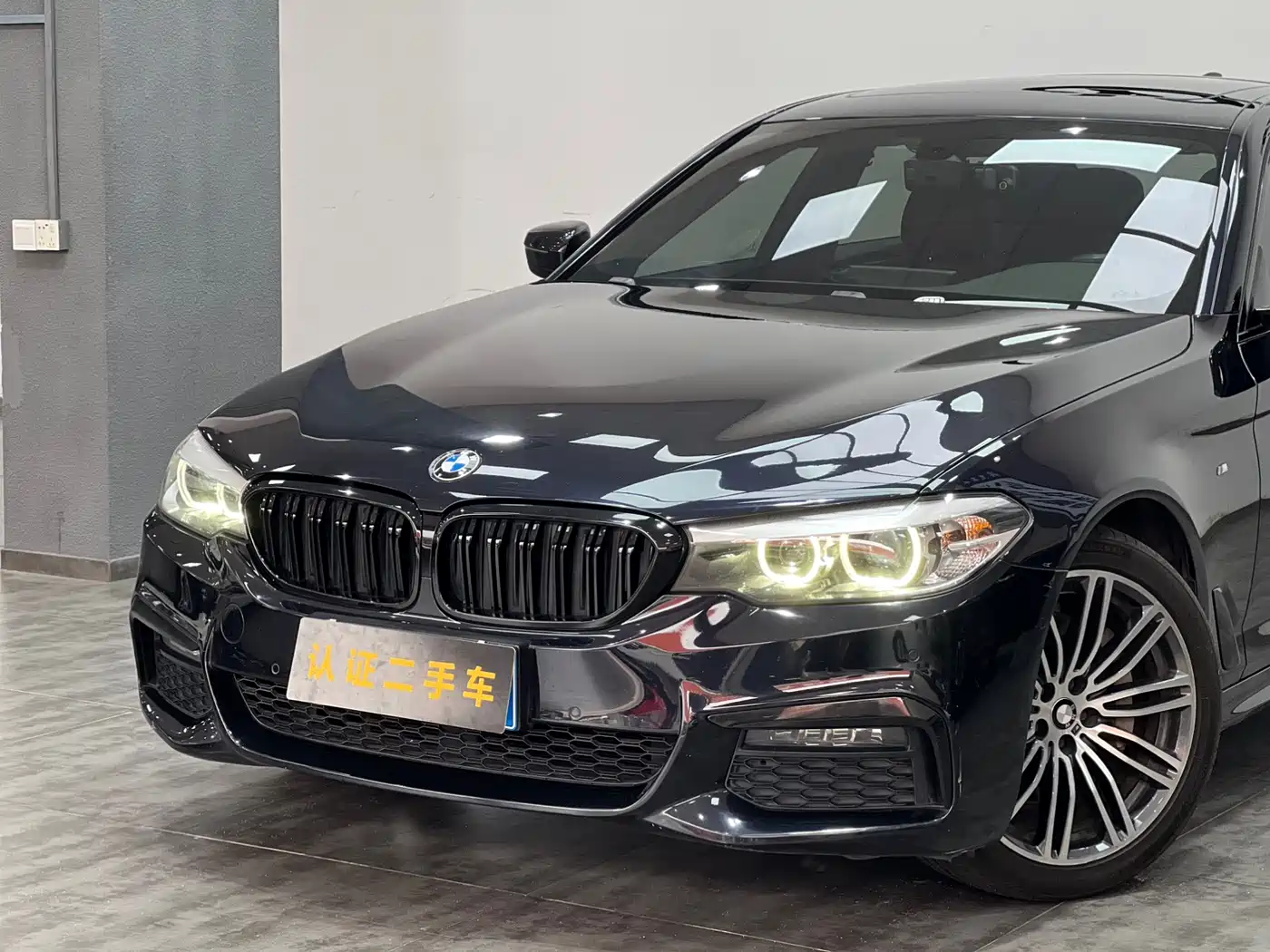BMW 5 Series 2019 530Li Leading M Sport Package фото 17