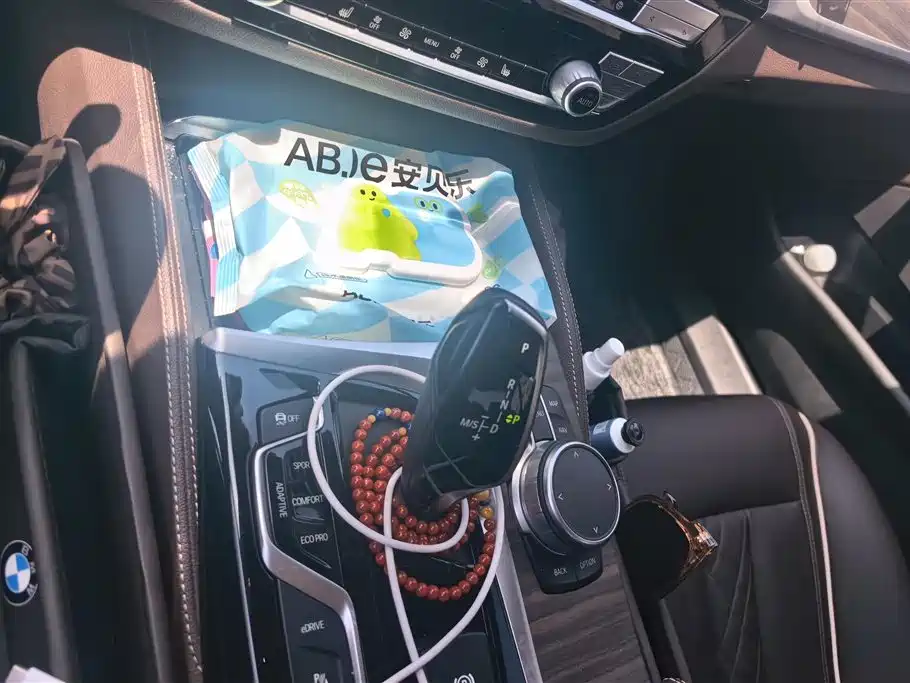 BMW 5 Series New Energy 2020 530Le Luxury Package фото 16