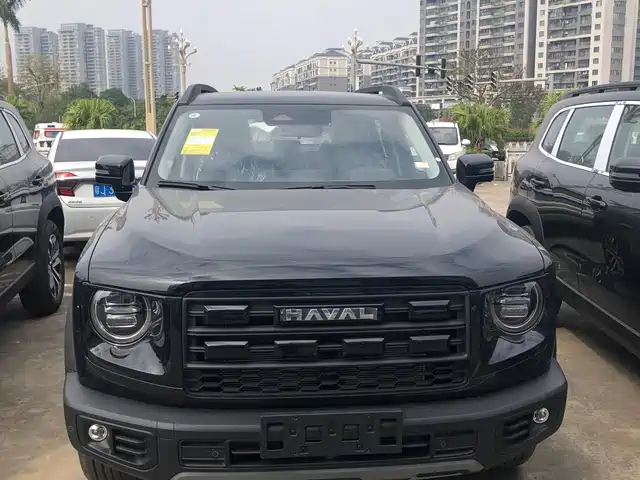 HAVAL BIG DOG