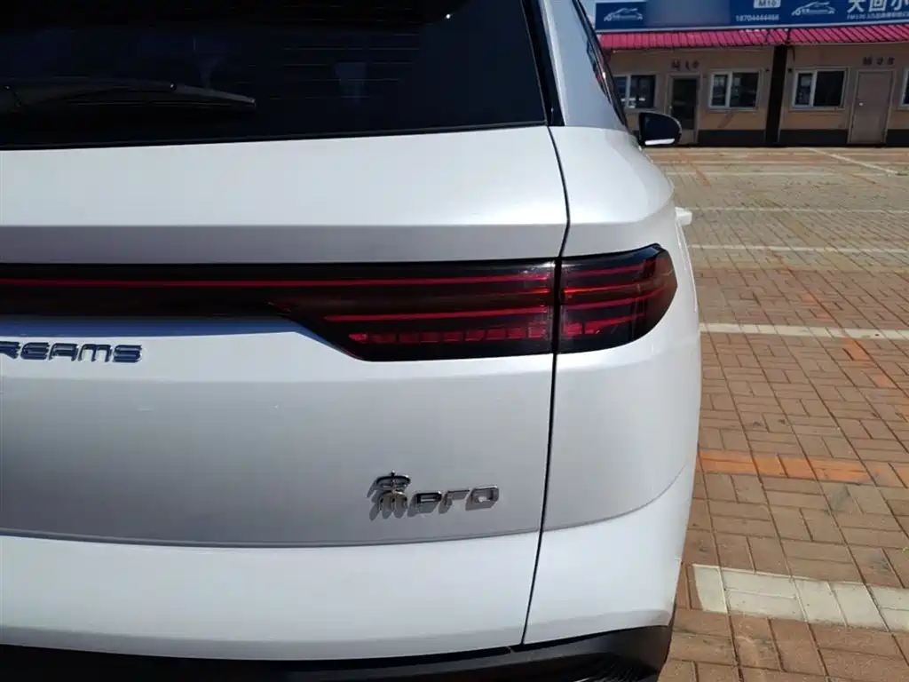 BYD Song Pro New Energy 2024 Glory Edition DM-i 71KM Pilot фото 8