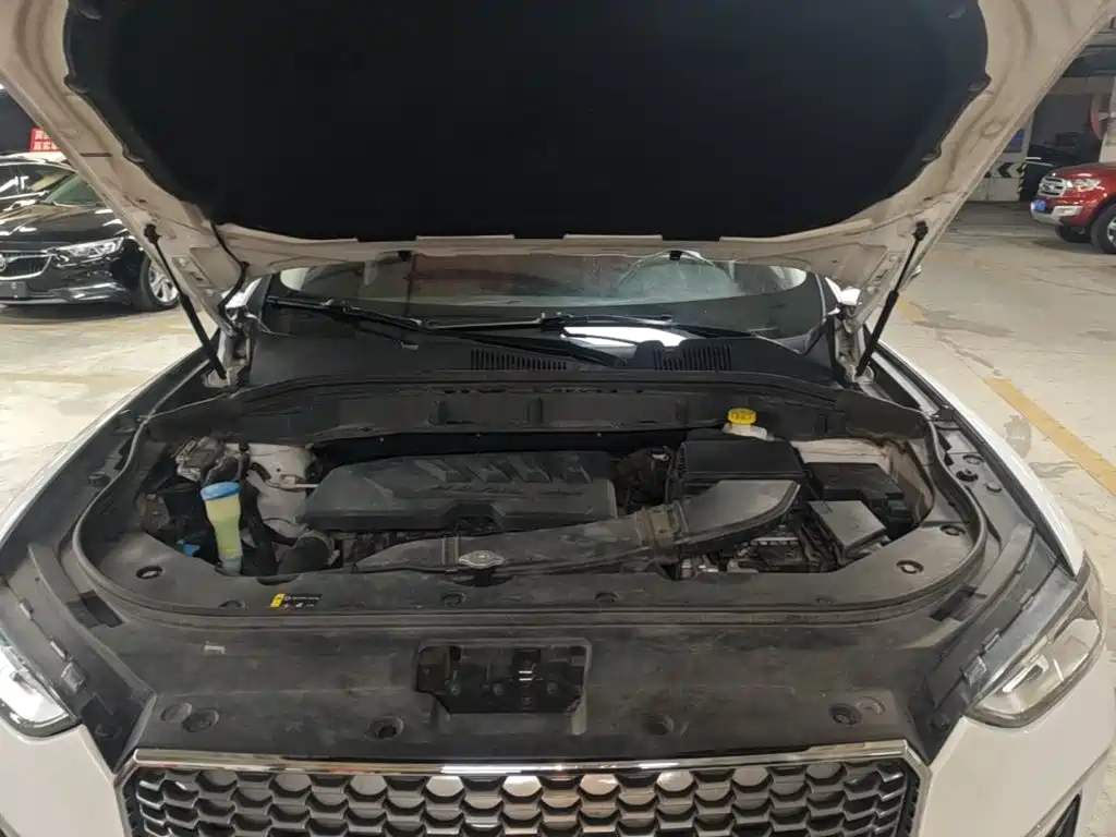 Haval F5 2019 2018 1.5T i-Trend