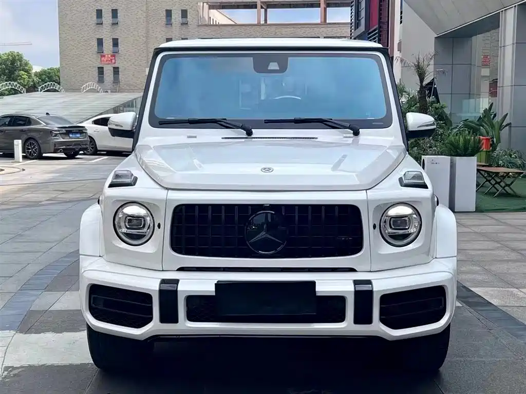 Mercedes-Benz G-Class 2020 G 500 фото 2