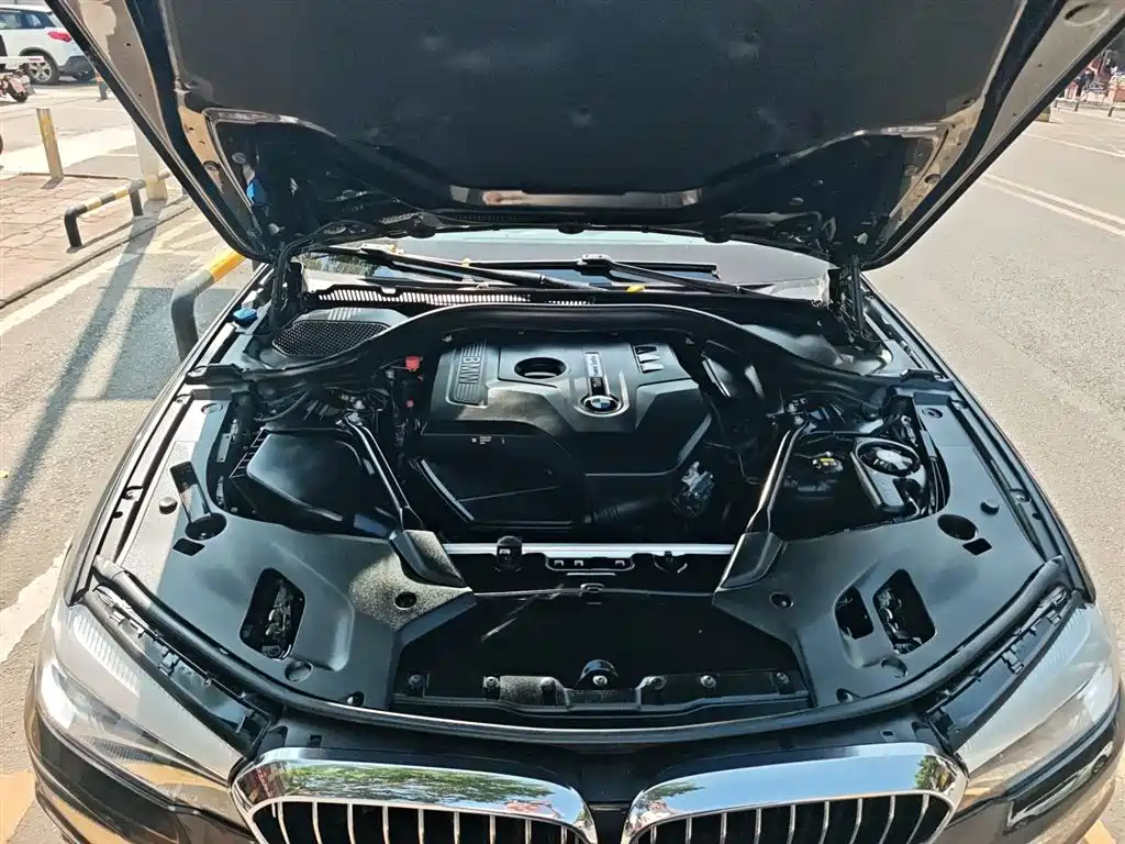 BMW 5 Series 2018 530Li Leading Luxury Package фото 16
