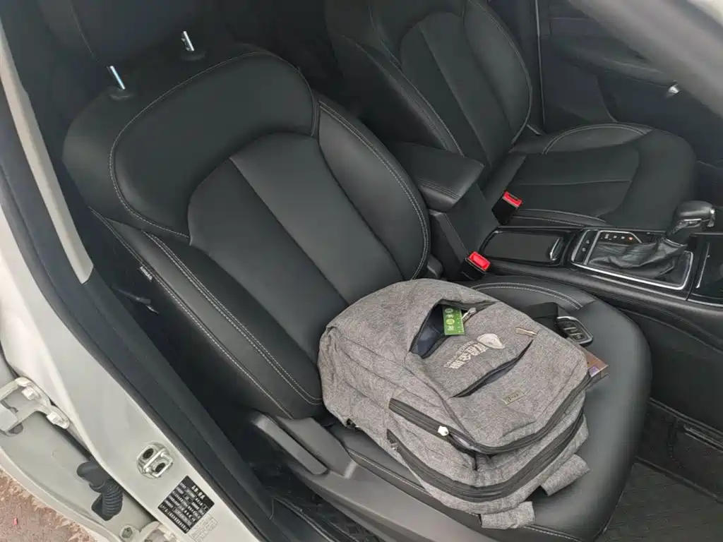 Фото 25 - Roewe RX3