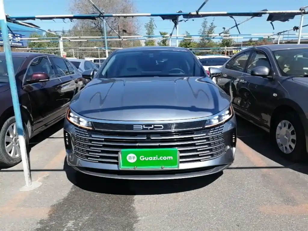BYD Destroyer 05 2024 Glory Edition DM-i 55KM Luxury фото 3