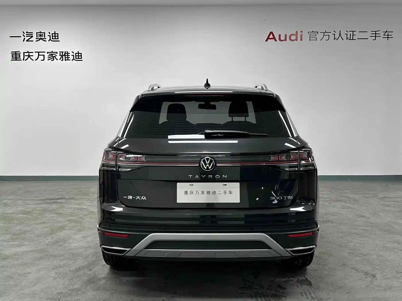 VOLKSWAGEN TANYUE