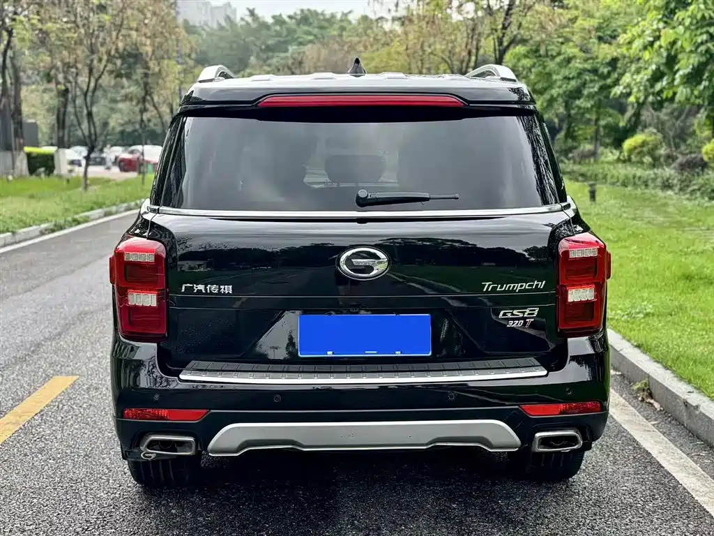 GAC Trumpchi Trumpchi GS8 2017 320T 2WD Luxury Smart Connect (7-seater) фото 8