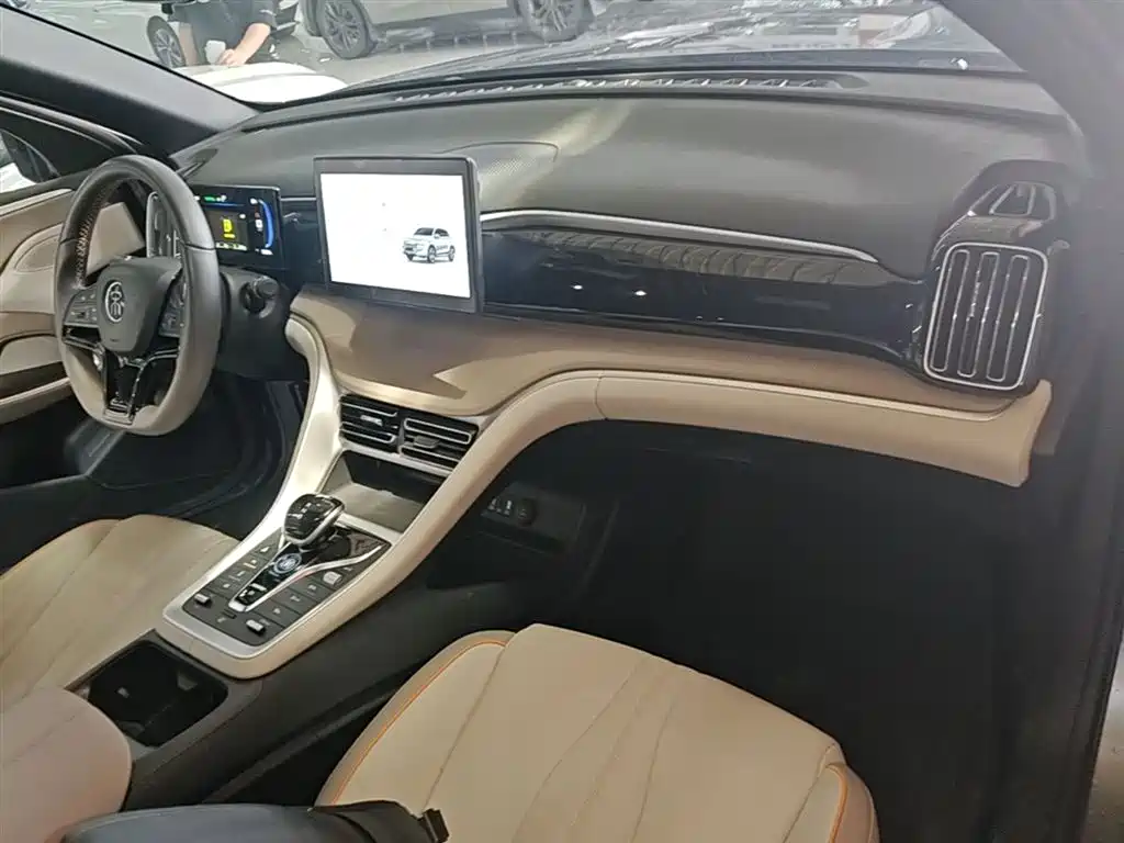 BYD Song Pro New Energy 2024 Glory Edition DM-i 71KM Pilot фото 10