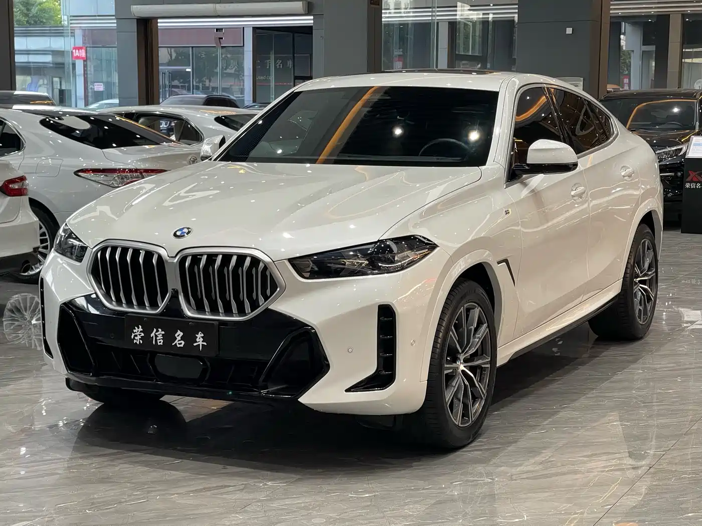 BMW X6 2023 xDrive30i M Sport Package