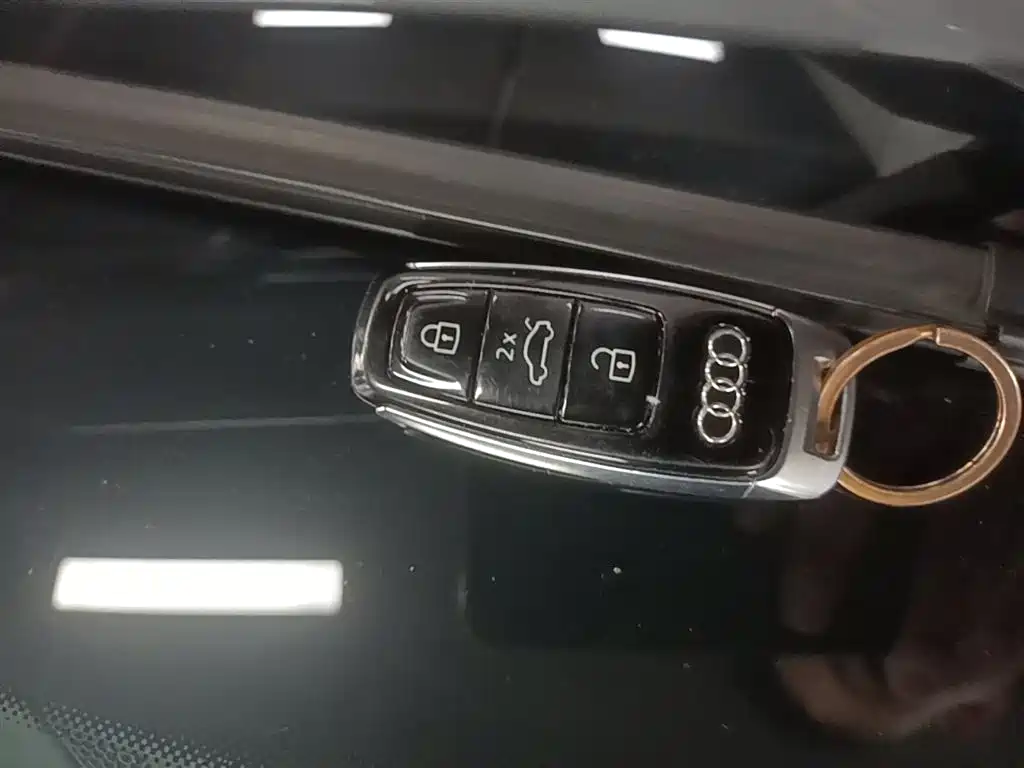 Audi e-tron (Import) 2019 55 quattro Technology фото 9