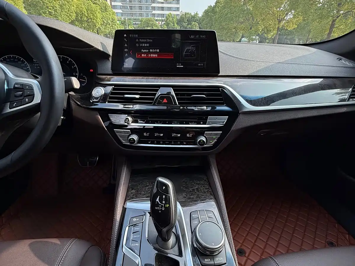 BMW 5 Series 2019 525Li M Sport Package фото 11