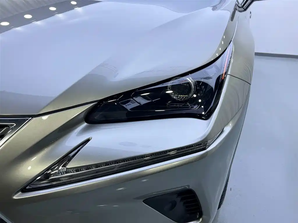 Lexus NX 2018 Model 300 FWD Fengxing Edition фото 22