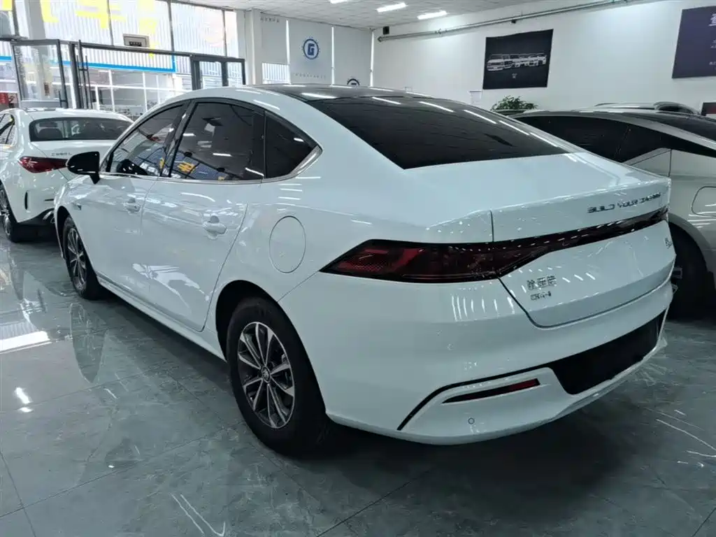 BYD Qin PLUS 2023 Champion Edition DM-i 55KM Leading фото 5