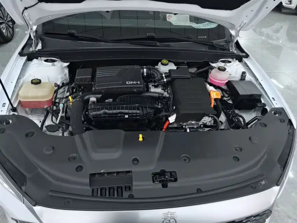 BYD Qin PLUS 2023 Champion Edition DM-i 55KM Leading фото 20
