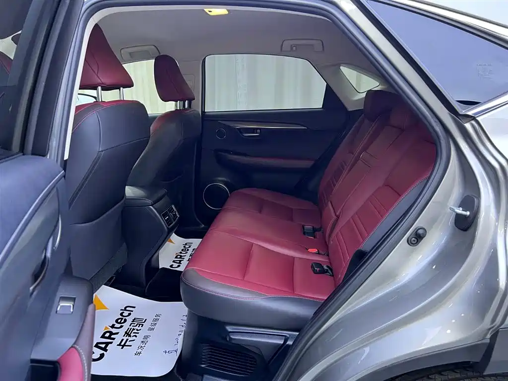 Lexus NX 2018 Model 300 FWD Fengxing Edition фото 8