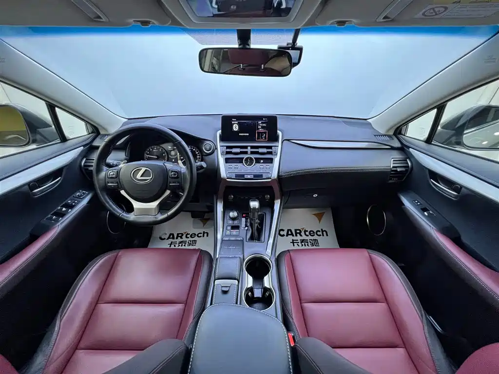 Lexus NX 2018 Model 300 FWD Fengxing Edition фото 9