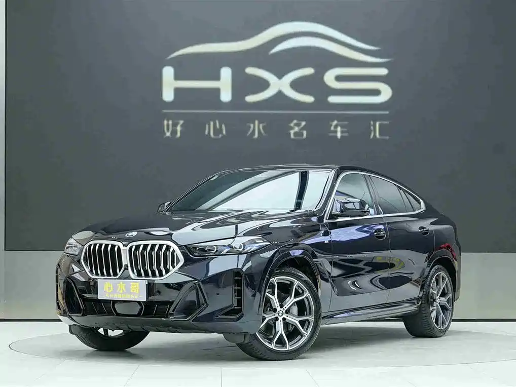 BMW X6 2023 xDrive40i M Sport Package