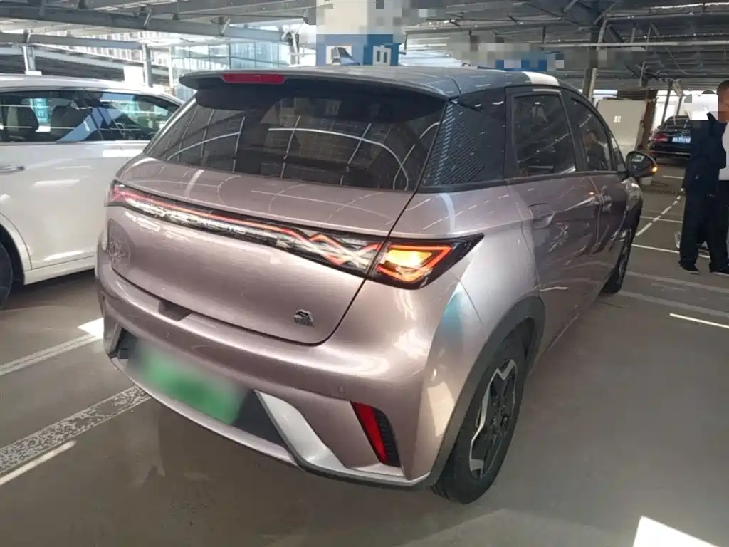 BYD Dolphin 2021 Model 405km Fashion Edition фото 7