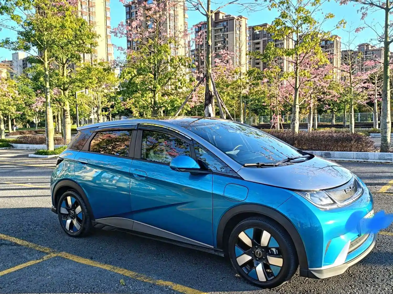 Фото 2 - BYD Dolphin