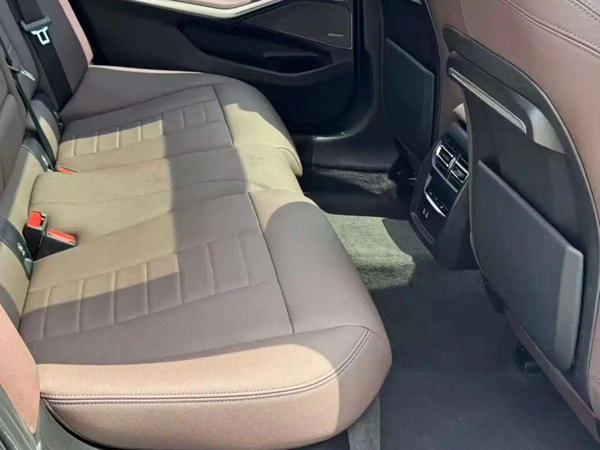 BMW 3 Series 2021 Second Facelift 325Li M Sport Night Package фото 4