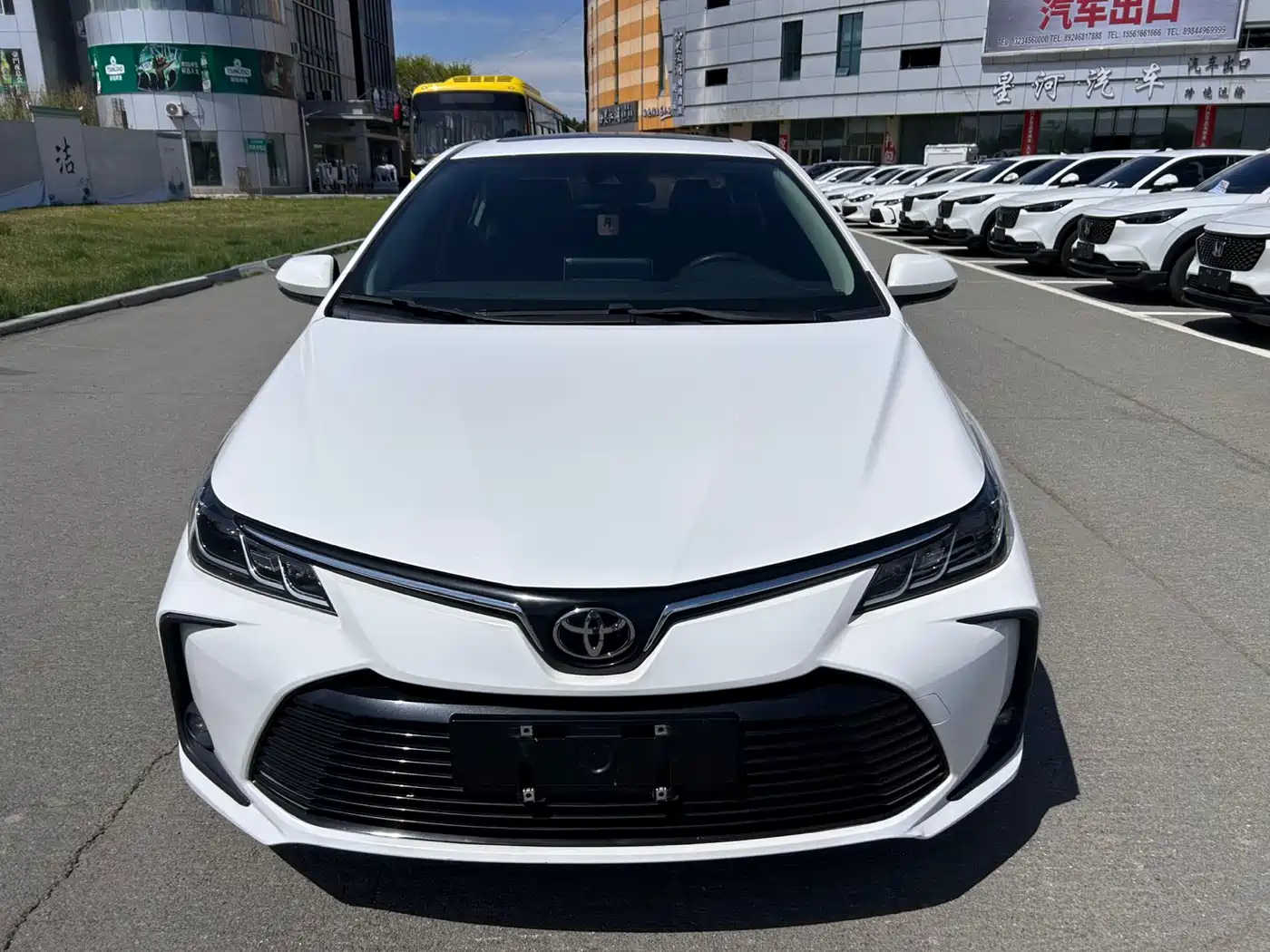 Toyota Corolla 2023 1.2T Elite Edition фото 4