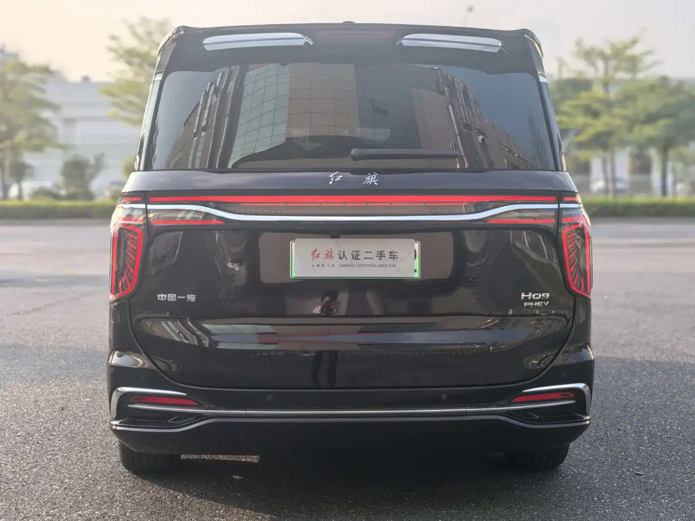 Hongqi HQ9 PHEV 2024 Model 2.0T AWD Luxury Edition фото 8
