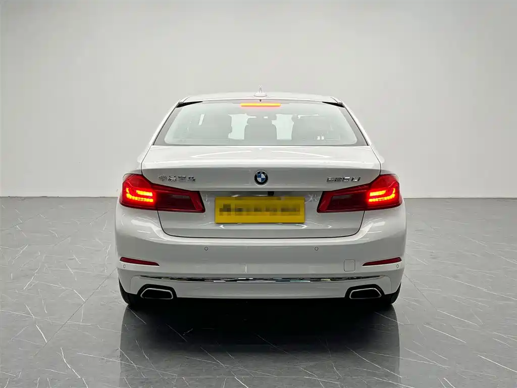 BMW 5 Series 2020 525Li Luxury Package фото 5