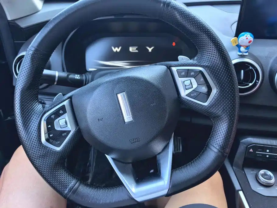 WEY P8 2019 2018 2.0T Flagship Model