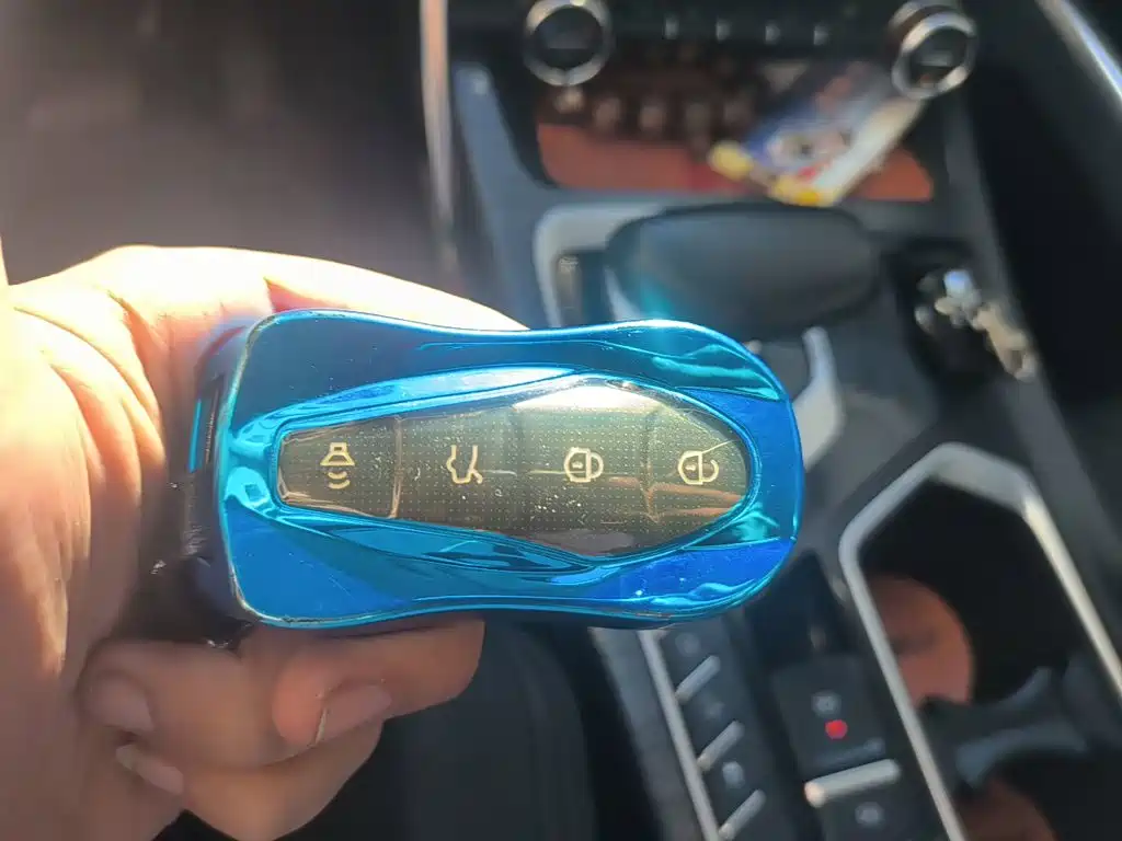 Фото 9 - Geely Tugella