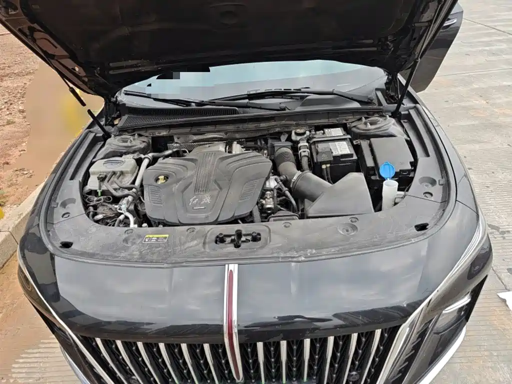 Hongqi H5 2024 2.0T Automatic Smart Connect Flag Smooth Edition фото 11