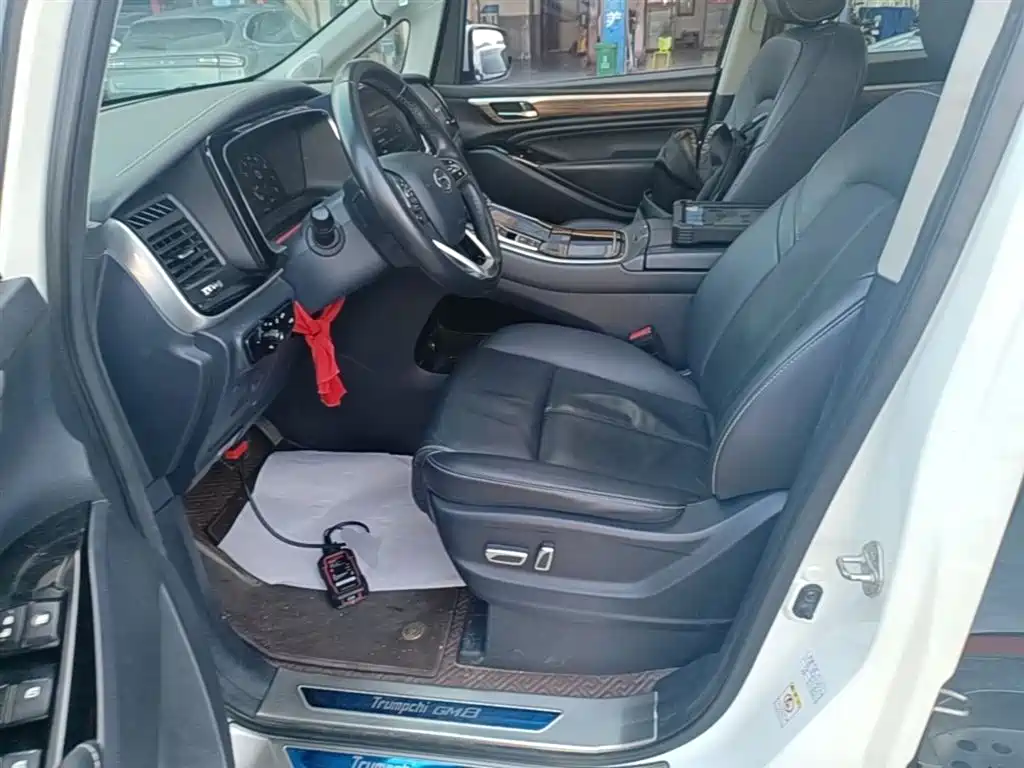 GAC Trumpchi Trumpchi M8 2021 Leading Show Series 390T Prestige Edition фото 15