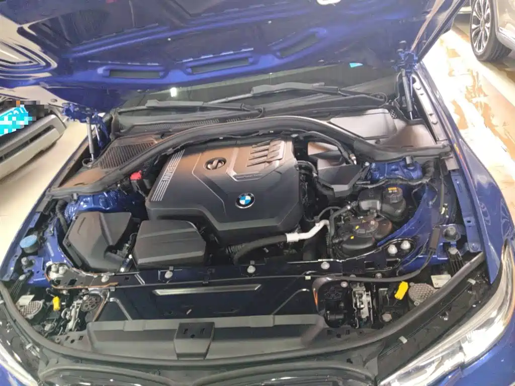 BMW 3 Series 2020 320Li M Sport Package фото 20