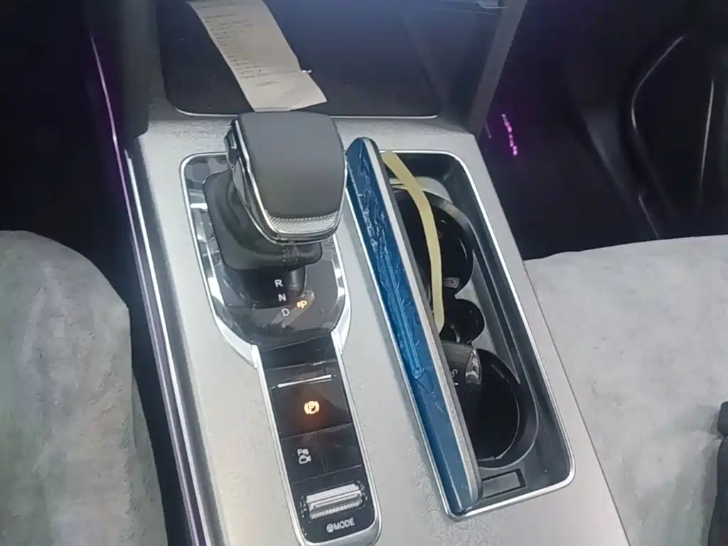 Photo 14 - Hongqi HS7 PHEV
