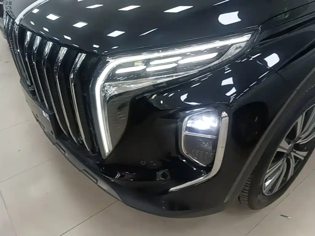 Photo 24 - Hongqi HS7 PHEV