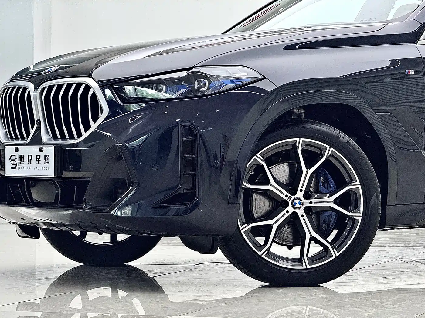 BMW X6 2023 xDrive40i Premium M Sport Package фото 11