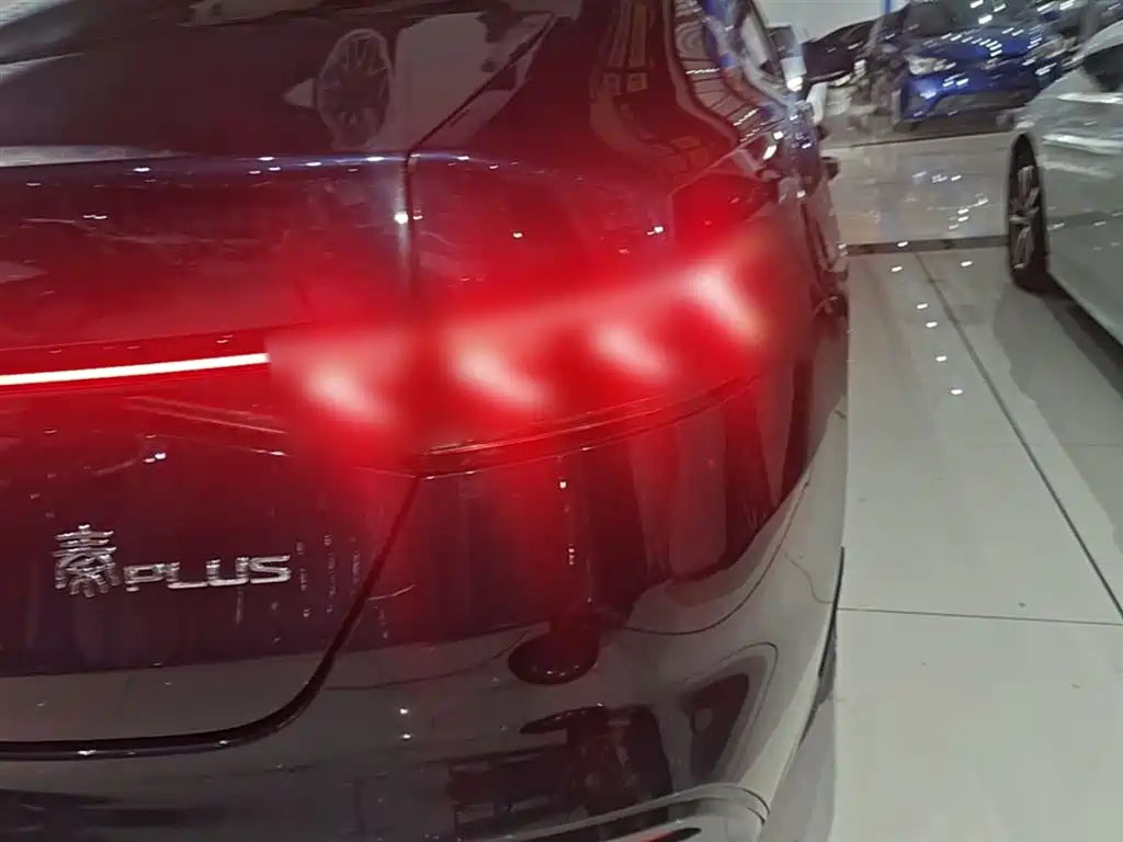 BYD Qin PLUS 2024 Glory Edition DM-i 55KM Leading фото 8