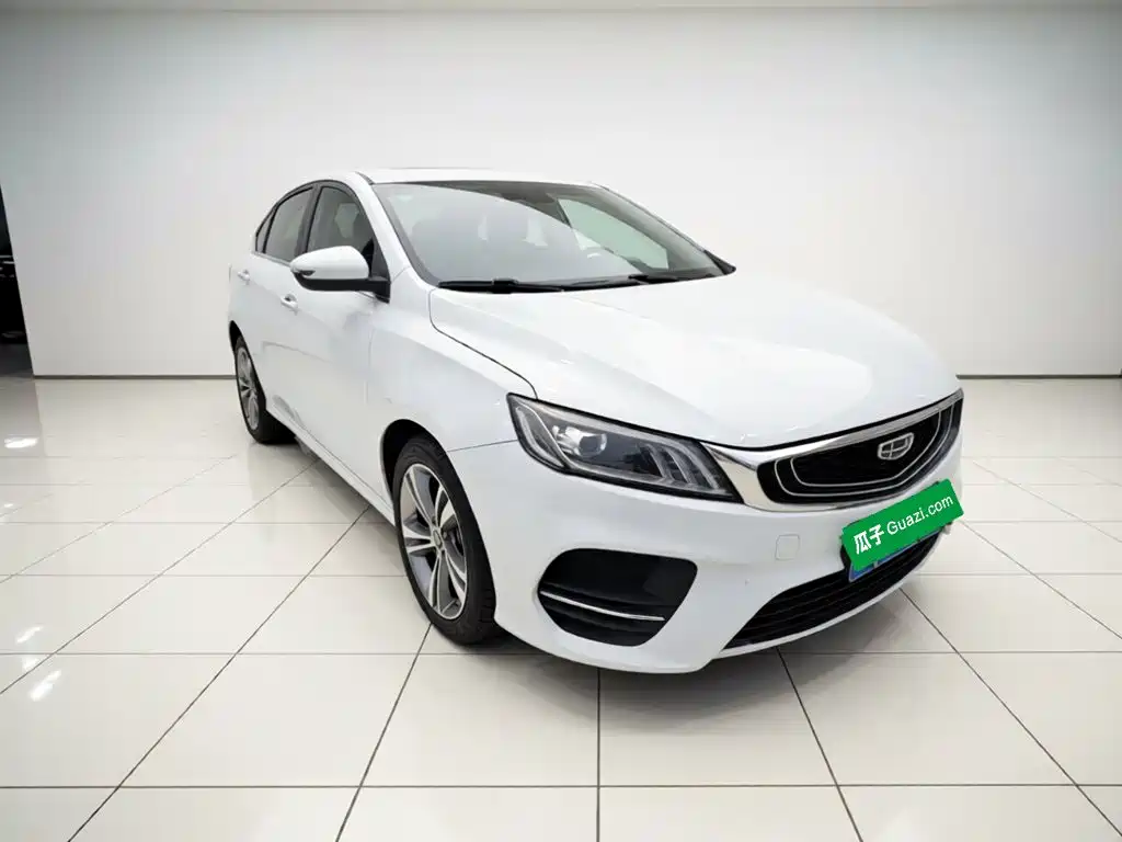 Фото 8 - Geely Binrui