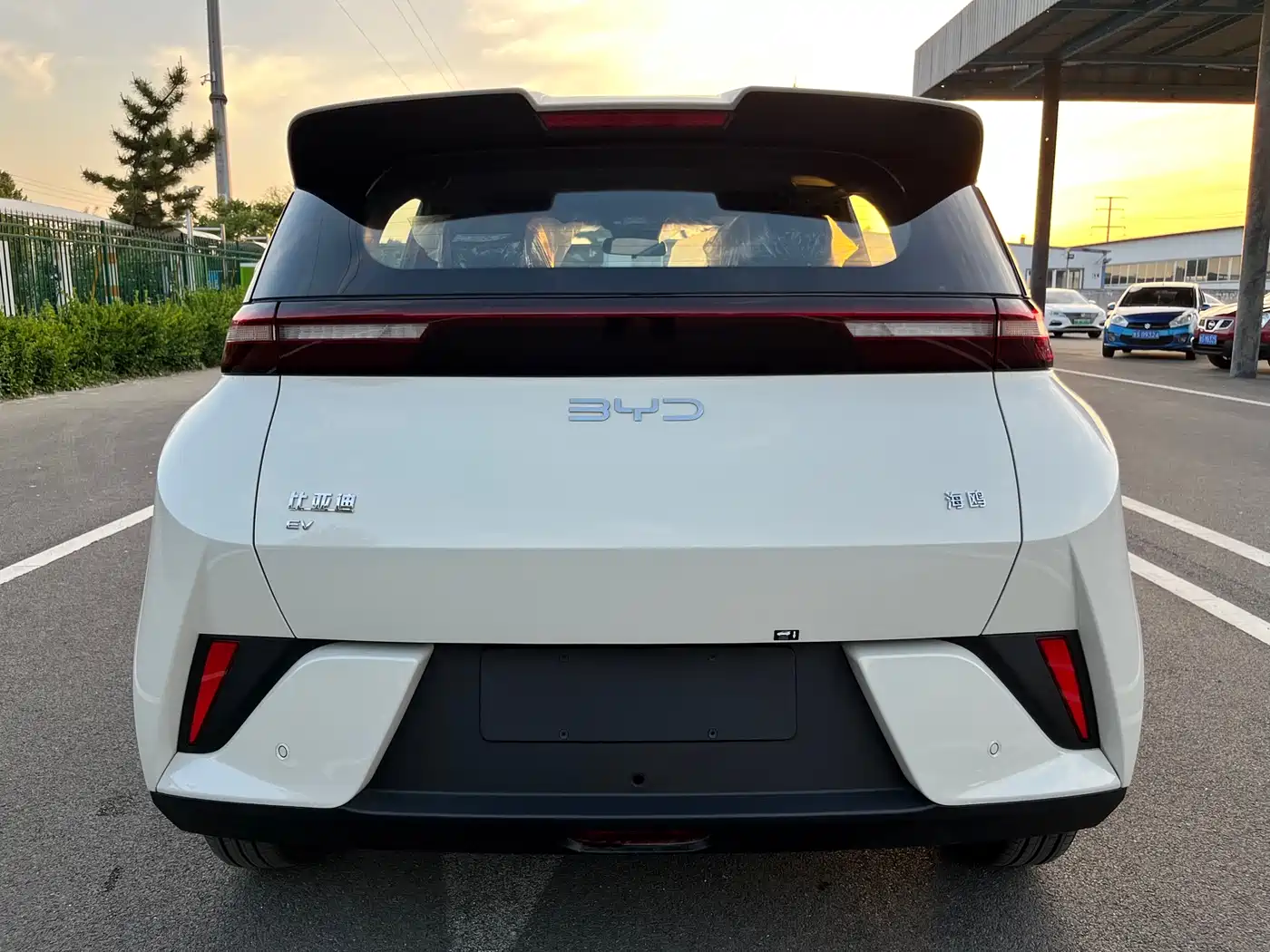 BYD Seagull 2025 Smart Drive Edition 305km Vitality Version фото 20