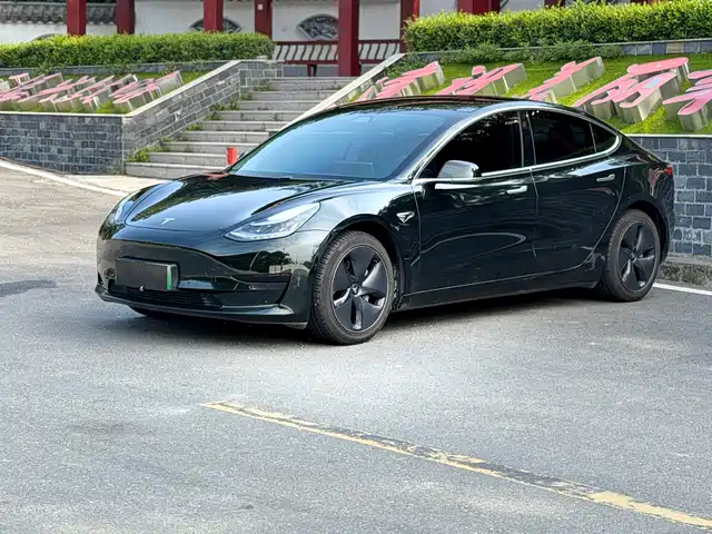 Tesla Model 3 2020 Standard Range Rear-Wheel Drive Upgrade