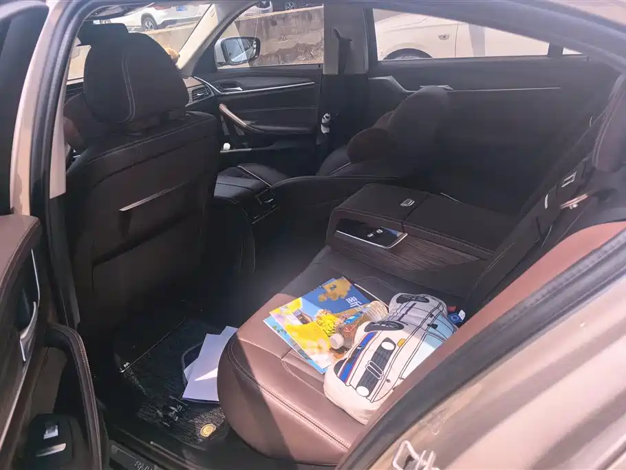BMW 5 Series New Energy 2020 530Le Luxury Package фото 11