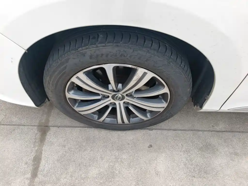 Фото 23 - GAC Trumpchi Trumpchi M8