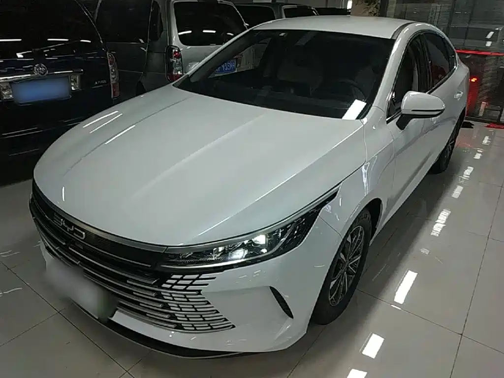 BYD Destroyer 05 2024 Glory Edition DM-i 55KM Luxury