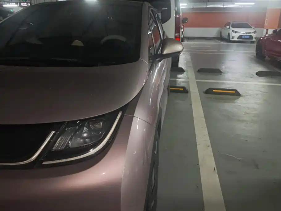 BYD Dolphin 2021 Model 405km Fashion Edition фото 5
