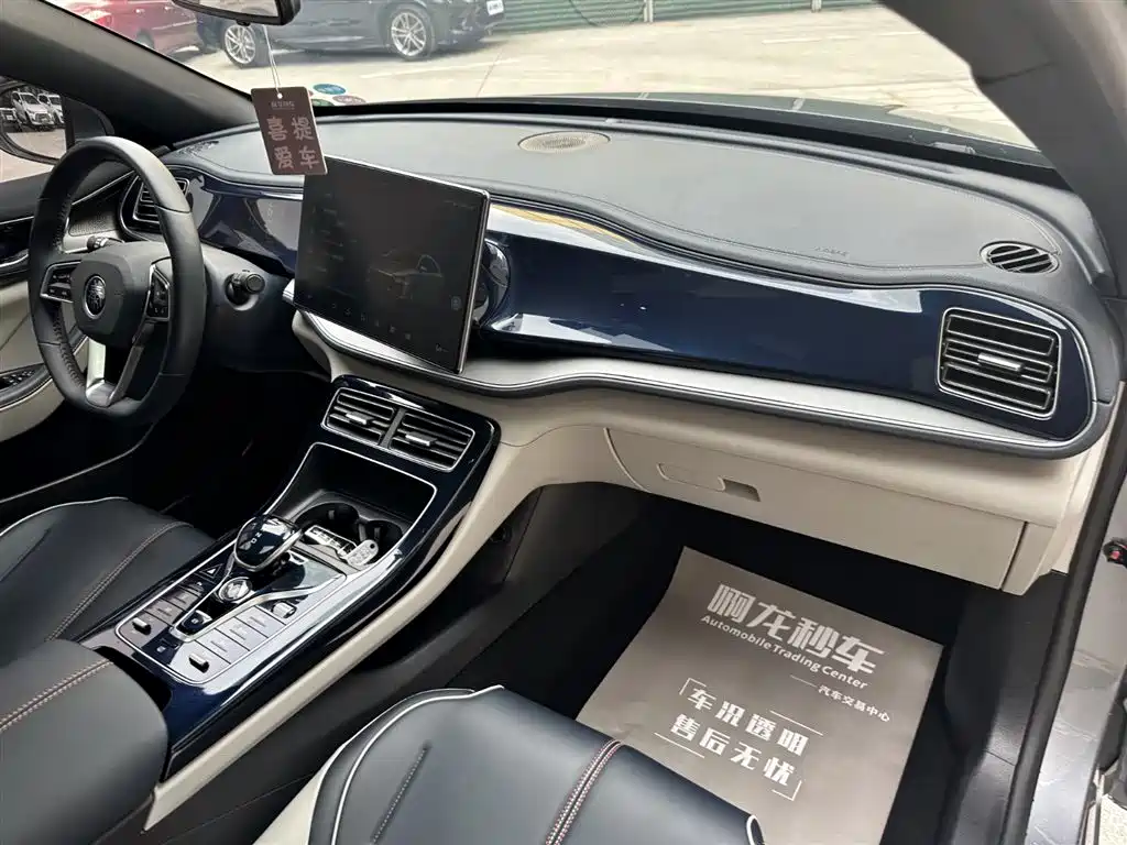 BYD Qin PLUS 2021 DM-i 55KM Flagship фото 6
