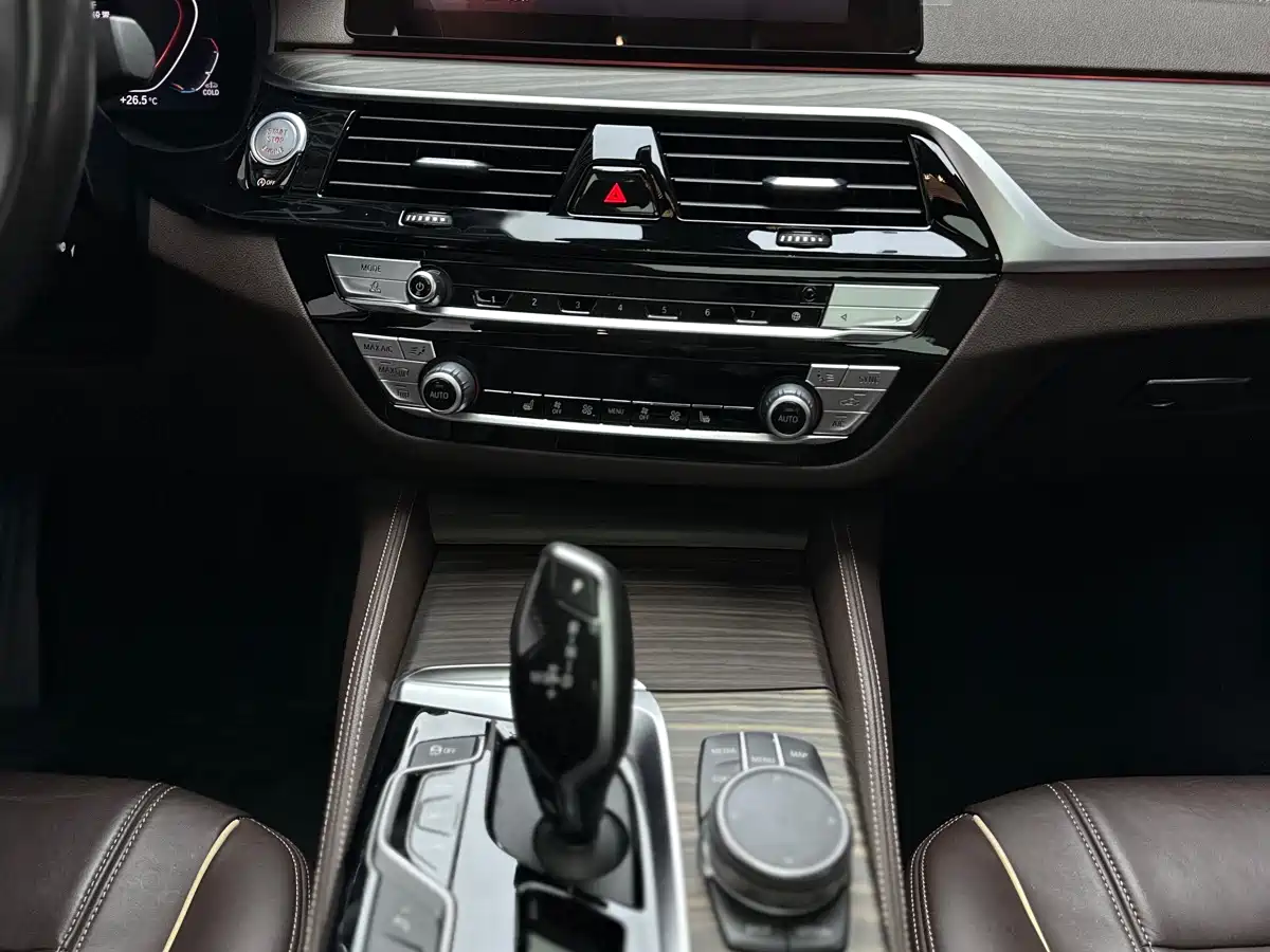 BMW 5 Series 2020 530Li Leading Luxury Package фото 14
