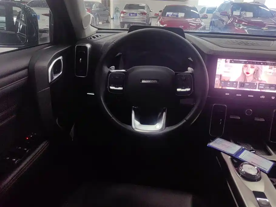 Haval Big Dog 2024 1.5T DCT Border Collie Edition фото 15