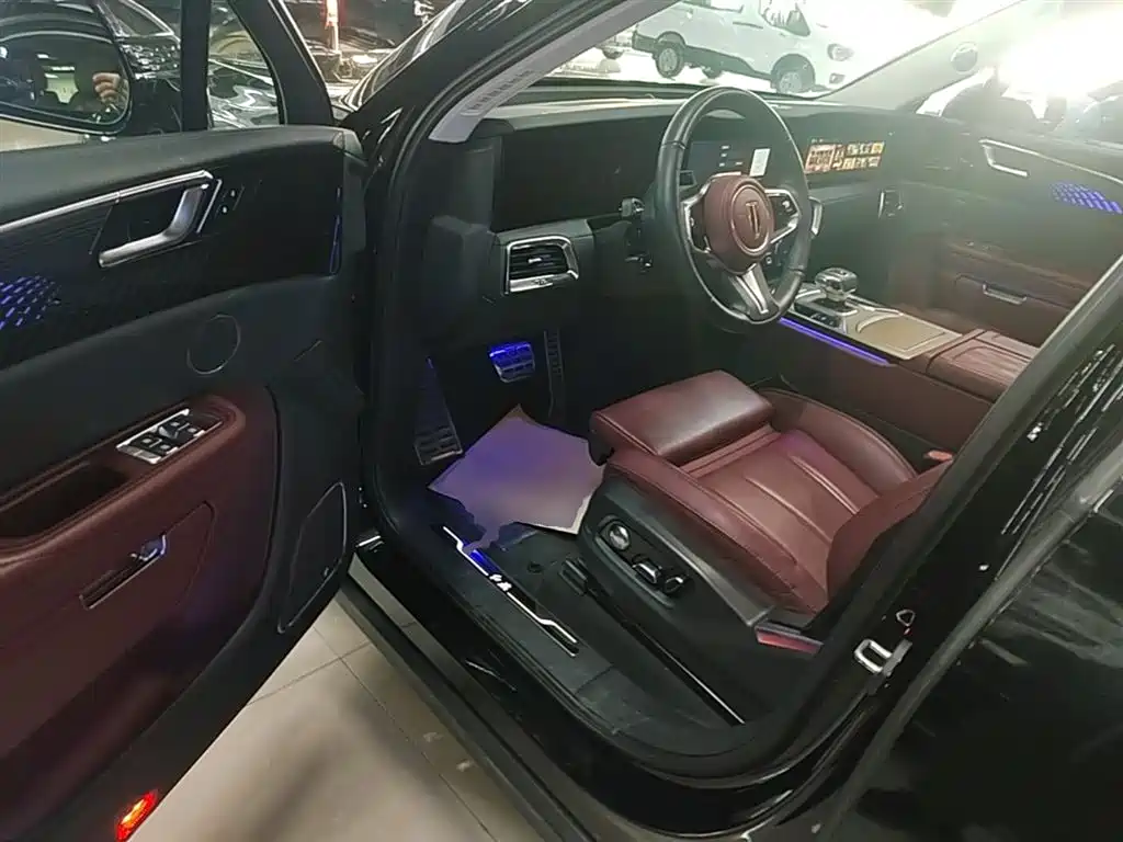 Hongqi E-HS9 2022 660km Qi Chang Edition (6-seater) фото 16